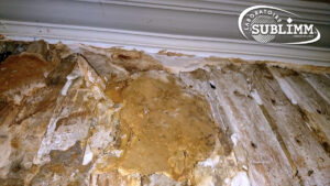 Mérule sur plancher