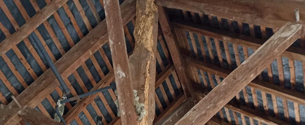 Charpente attaquée par des insectes
