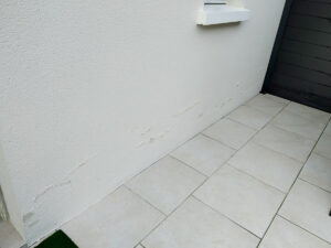 peintures de façade décollée et dégradée caractérisant des remontées capillaires dans un soubassement de mur