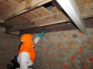 Traitement fongicide par injection des bois