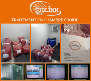 Traitement de baies de Madagascar en chambre froide