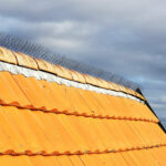 pics anti-pigeons pour toiture