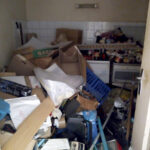 Syndrome de Diogène